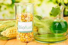 Cerrigydrudion biofuel availability