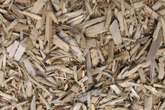 biomass boilers Cerrigydrudion